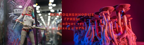 ГАЛЛЮЦИНОГЕННЫЕ ГРИБЫ Приозерск