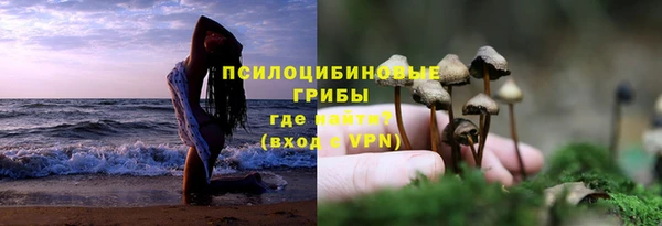ПСИЛОЦИБИНОВЫЕ ГРИБЫ Заводоуковск