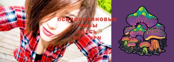 мдпв Россошь