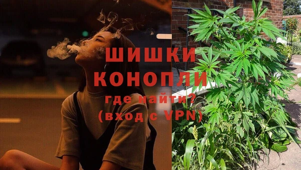 мдпв Россошь