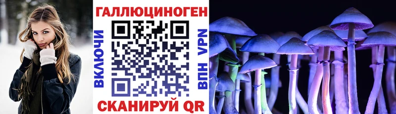 Псилоцибиновые грибы Magic Shrooms  Салаир 